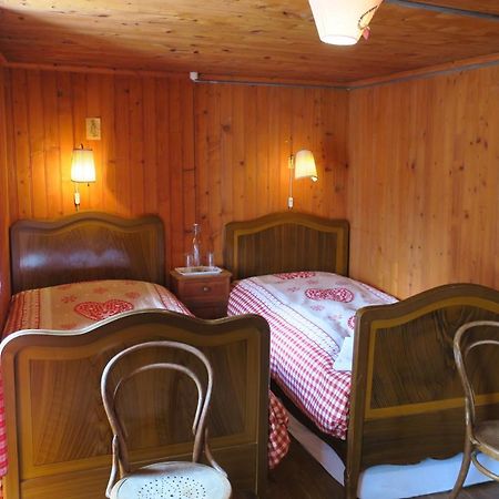 Edelweiss Mountain Guest House - 1 Hour Hike Up From Zermatt Station - On Hiking Trail - No Transport Exterior foto